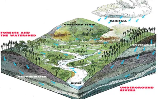Gambar 2.4 Daerah Aliran Sungai 