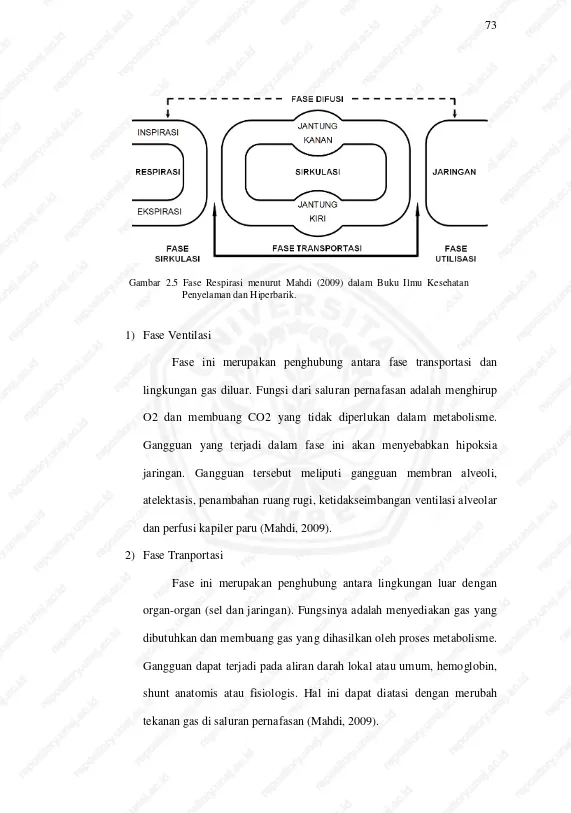 Gambar 2.5 Fase Respirasi menurut Mahdi (2009) dalam Buku Ilmu Kesehatan 