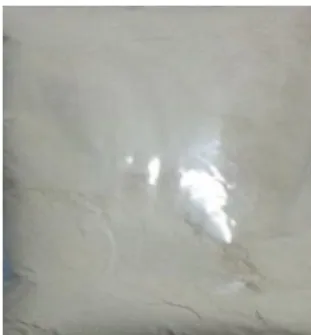 Gambar 2.2 Tepung Talas Beneng 