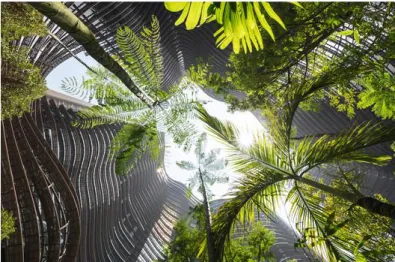 Gambar 9: view from green heart   (sumber: archdaily.com) 