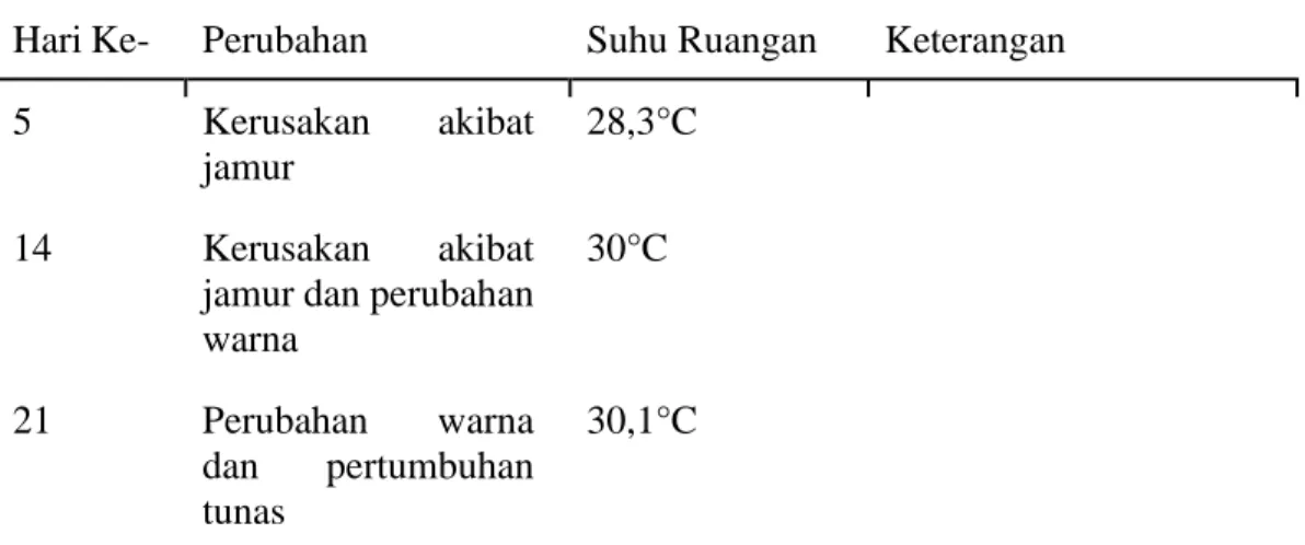 Tabel 2. pengamatan pengemasan jagung manis 1 