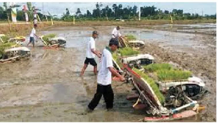 Gambar  1 mesin tranplenter