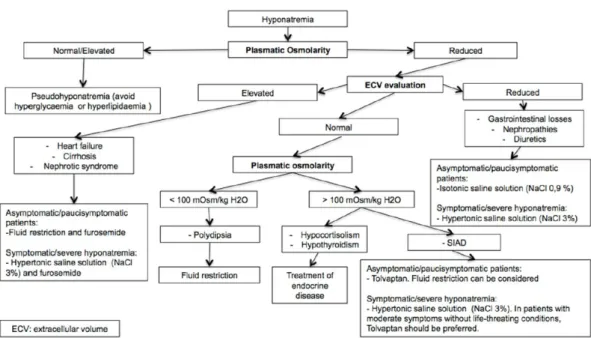Gambar 2. Algoritma manajemen hyponatremia. 