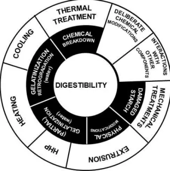Figure 3 Food processes targeting starch digestibility. 