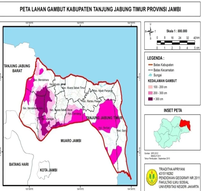 Gambar 4. Peta Sebaran Gambut 