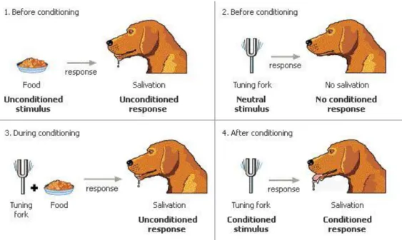 Gambar 1. 1 Eksperimen Pavlov 