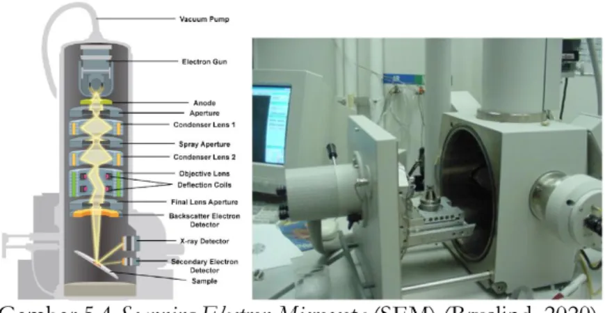 Gambar 5.4 Scanning Electron Microscope (SEM) (Bruslind, 2020)  b. Mikroskop elektron transmisi (TEM) 