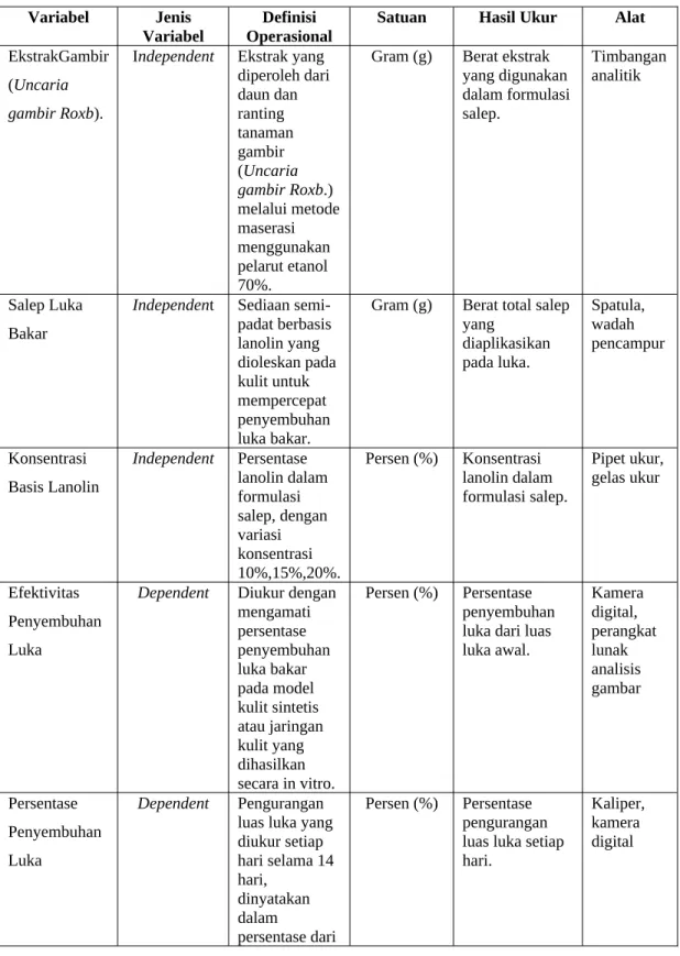 Tabel 3.1 Definisi Operasional