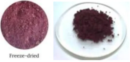 Gambar 2.4 Freeze Dried 