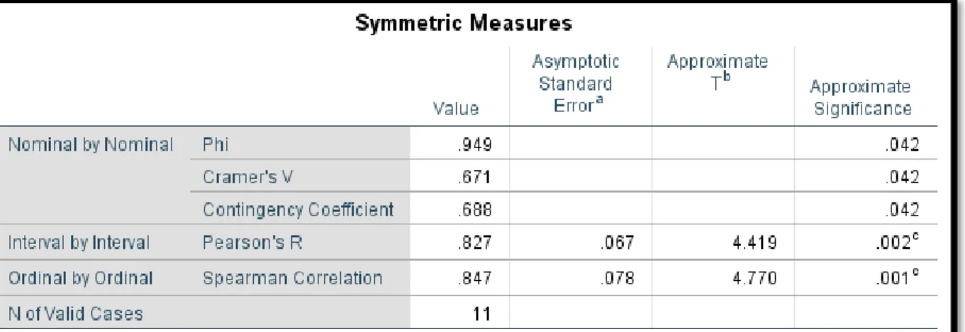 Figure 10 Symetric Measures Cross Tabulation 