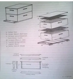 Gambar 8. Skema Stup 