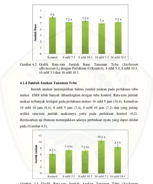 Gambar 4.3 Grafik Rata-rata Jumlah Anakan Tanaman Tebu (Sacharum    officinarum L) dengan Perlakuan 0 (Kontrol), 8 mM 5 J, 8 mM 10 J, 16 mM 5 J dan 16 mM 10 J