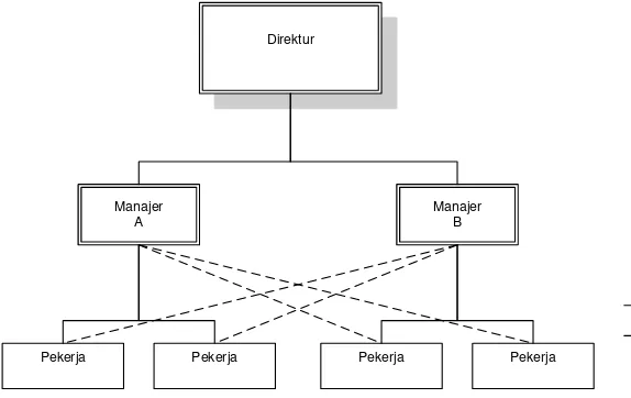 Gambar 2.3. Struktur Organisasi Fungsional 