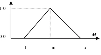 Figure 2.  Triangular ���������������M 