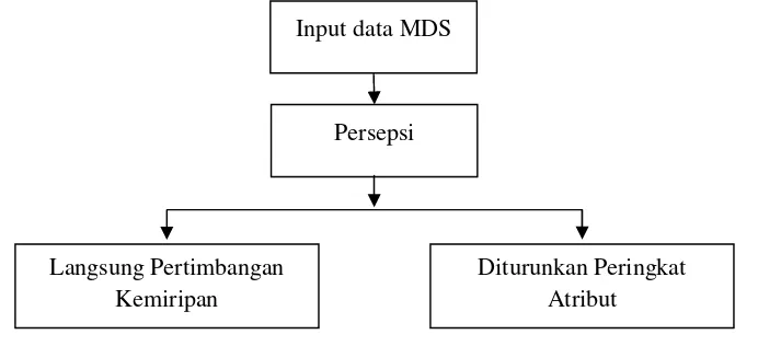 Gambar 3.3 Input Data Analisis MDS