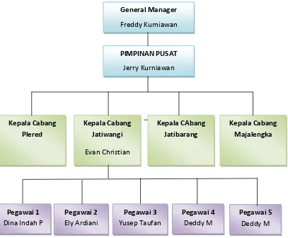 Gambar 3.1 Struktur Organisasi perusahaan Kurnia Cell 