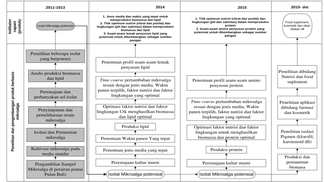 Gambar 1. Roadmap penelitian