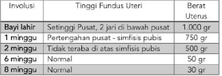 Tabel 2.1 Involusi Uterus