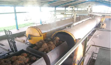 Gambar 10. Proses perebusan buah pada sterilizer. 