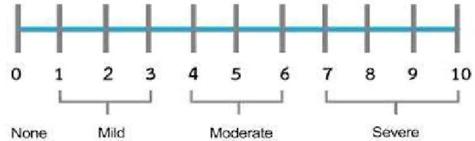 Gambar 4.2 Numeric Rating Scale (Pardede &amp; Mochtar, 2024)