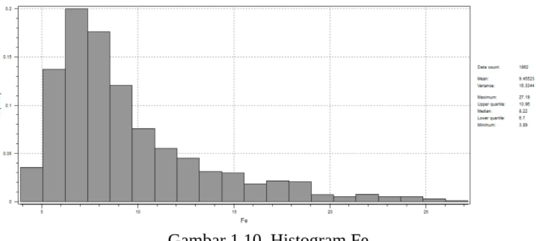 Gambar 1.10  Histogram Fe