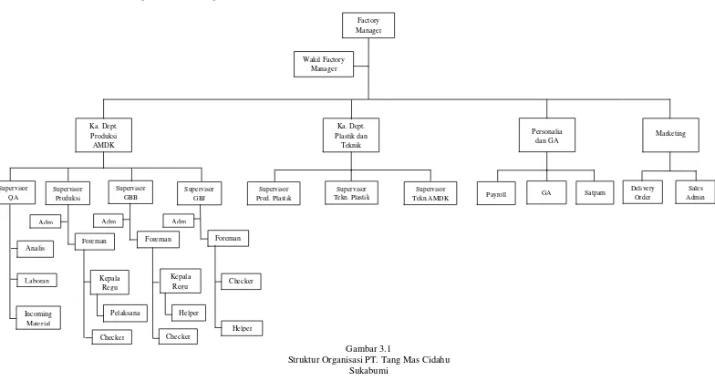 Gambar 3.1  Struktur Organisasi PT. Tang Mas Cidahu 