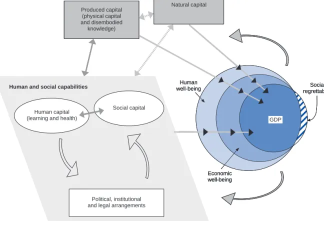 Figure 1.2. Key inputs to human well-being and their inter-relationships
