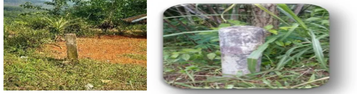 Gambar 3. Contoh Pal Batas Tidak Terurus 