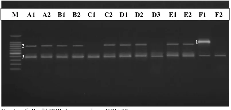Gambar 6. Profil PCR dengan primer OPN-03 Keterangan : M (Marker); A1, A2 (tanpa mutasi Varietas Cikurai); B1, B2 (tanpa mutasi Varietas Malikka); C1, C2 (mutan M2 Varietas Cikurai); D1, D2 (mutan M2 Varietas Malikka); E1, E2 (mutan M3 Varietas Cikurai); dan F1, F2 (mutan M3 Varietas Malikka) 