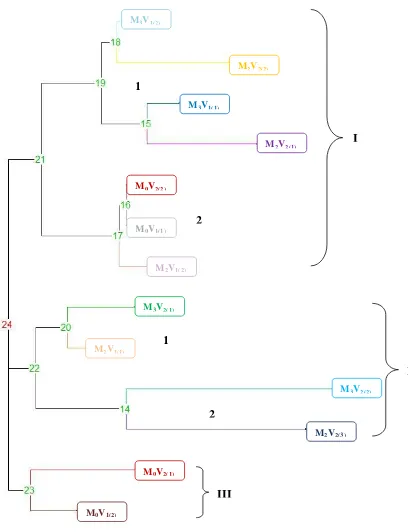Gambar 8.  Profil Filogenetic Neighbor-Joining dari 13 genotip kedelai berdasarkan Matrix Dissimilarity Simple Matching 