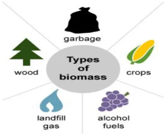 Gambar 9. Sumber Tipe dari Energi Biomassa 