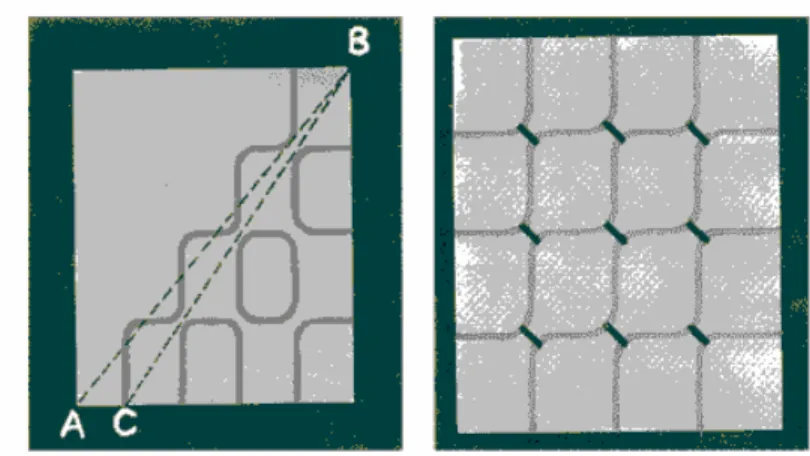 Figure 11: The use of long descriptive captions in the July-August 1998 issue of  American Scientist