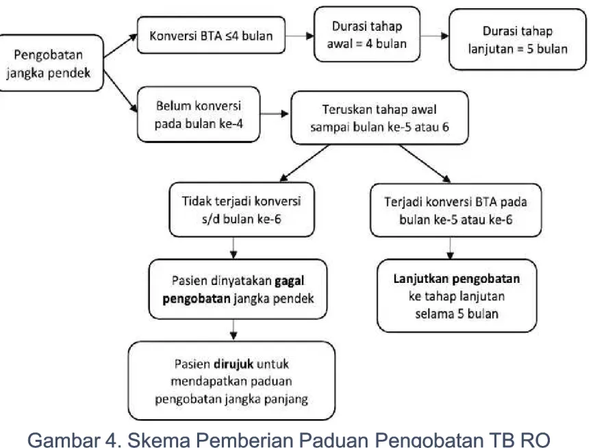 Gambar 4. Skema Pemberian Paduan 