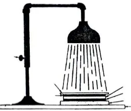 Gambar 6. Proses  Penyinaran dengan Lampu 