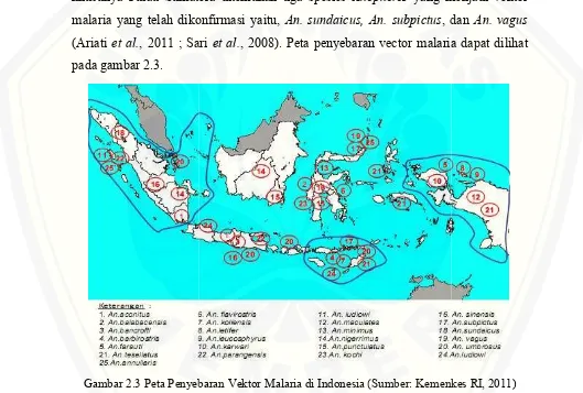Gambar 2.3 Peta Penyebaran Vektor MalariPeta Penyebaran Vektor Malaria di Indonesia (Sumber: Kemenkes RI(Sumber: Kemenkes RI, 2011)