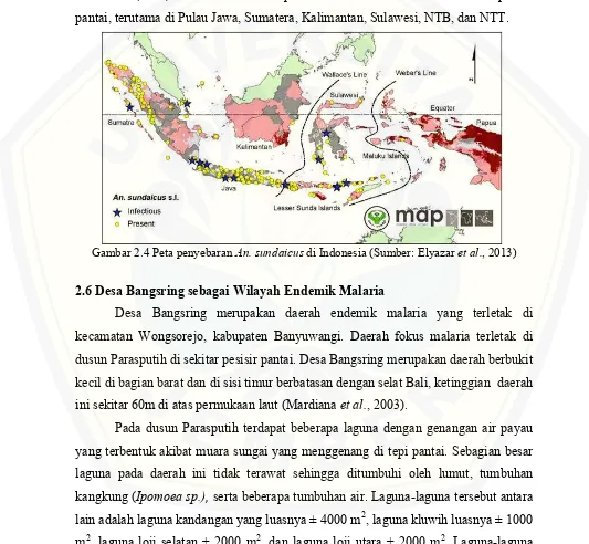 Gambar 2.4 Peta penyebaran An. sundaicus di Indonesia (Sumber: Elyazar et al., 2013)