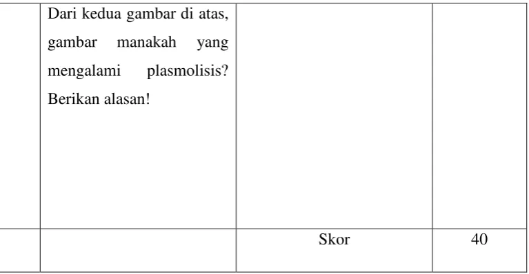 gambar manakah 