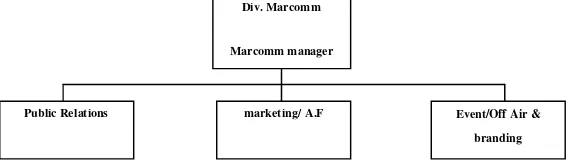Gambar 1.3 Struktur divisi PR & Marcomm 