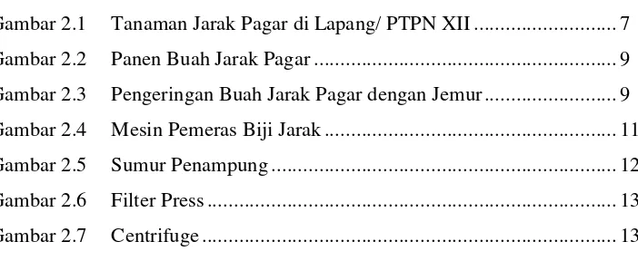 Gambar 2.1 Tanaman Jarak Pagar di Lapang/ PTPN XII ...........................7 