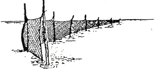 Gambar 16. Sketsa jaring insang berpancang 