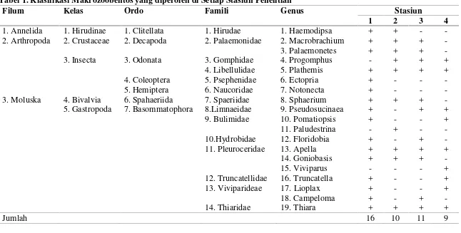 Tabel 1. Klasifikasi Makrozoobentos yang diperoleh di Setiap Stasiun Penelitian