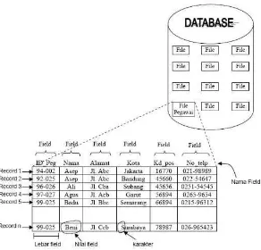 Gambar 2. 1 Contoh Database Kepegawaian 
