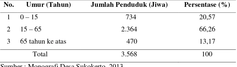 Tabel 4.3 Struktur Umur Penduduk Desa Pajarakan Kulon Tahun 2013  