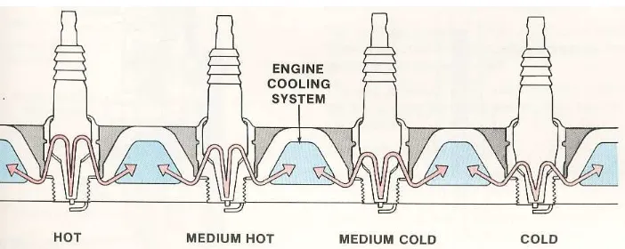 Gambar 3. Tipe busi berdasarkan penyaluran panasnya Busi dingin digunakan pada mesin dengan temperatur kerja tinggi 