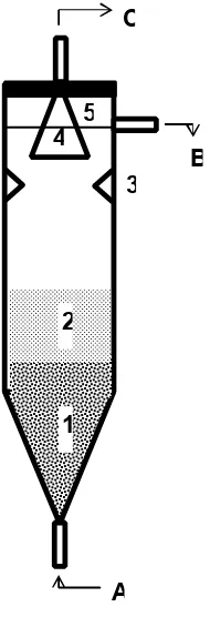 Figure 1. Typical cross section of a UASB reactor: