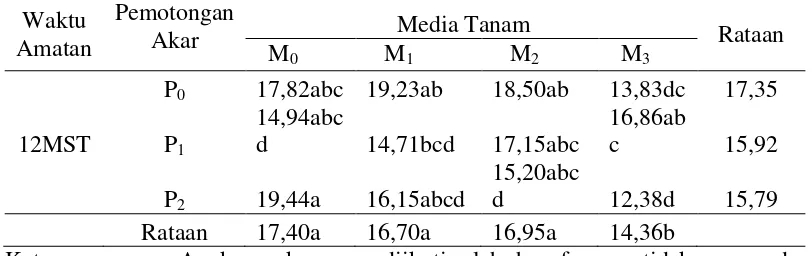 Tabel 3. Data panjang tunas (cm) pada perlakuan pemotongan akar dan  media   tanam pada umur 12  MST