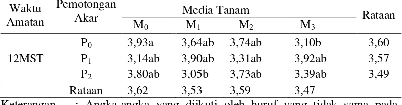 Tabel 4. Data diameter tunas (mm) pada perlakuan pemotongan akar dan  media   tanam pada umur 12 MST 