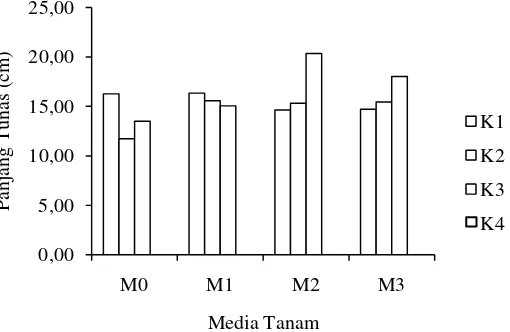 Tabel 3. Panjang tunas tanaman terhadap perlakuan kedalaman dan media tanam  
