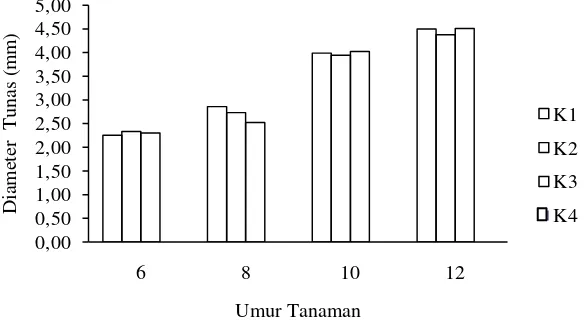 Gambar 4. Pertumbuhan diameter tunas pada umur 6-12 MST pada perlakuan  kedalaman  