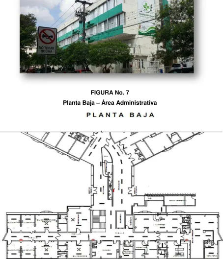 FIGURA No. 7 
